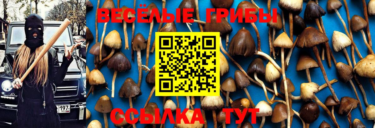 Галлюциногенные грибы Psilocybine cubensis Магнитогорск